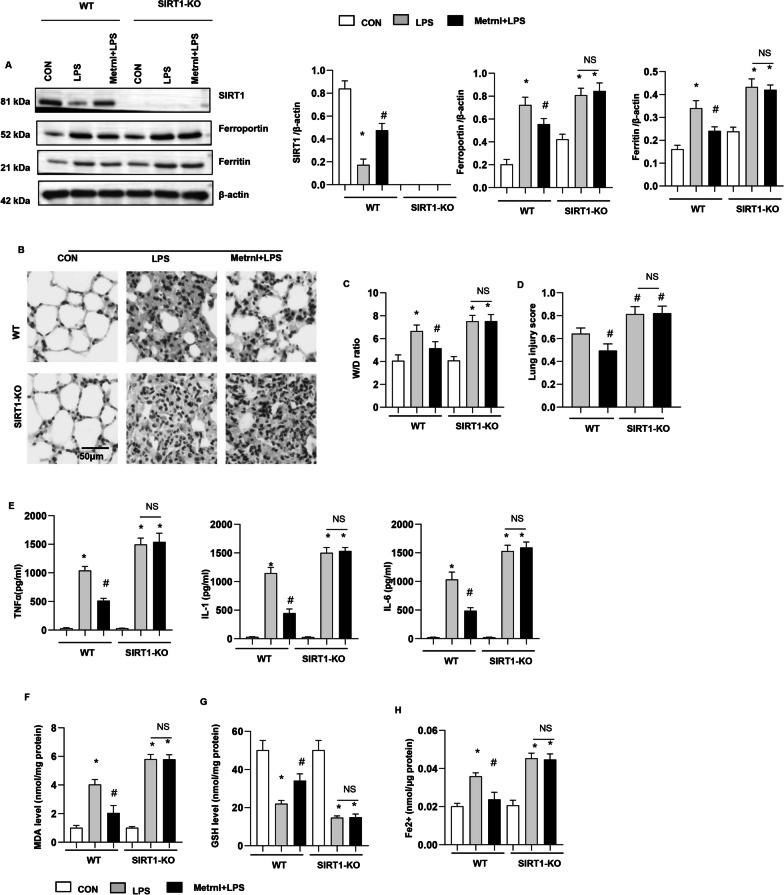 Fig. 11