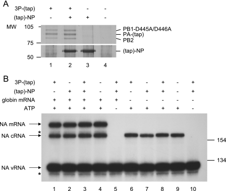 FIG. 4.