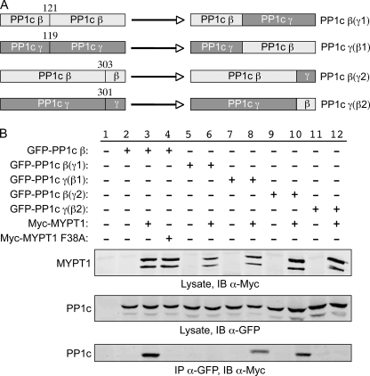 FIGURE 4.