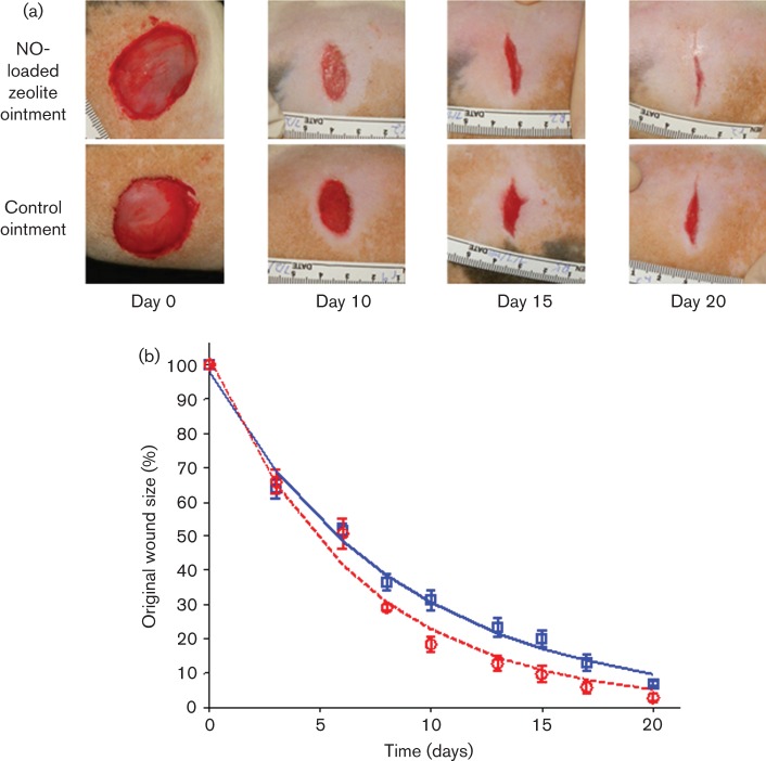 Fig. 3. 