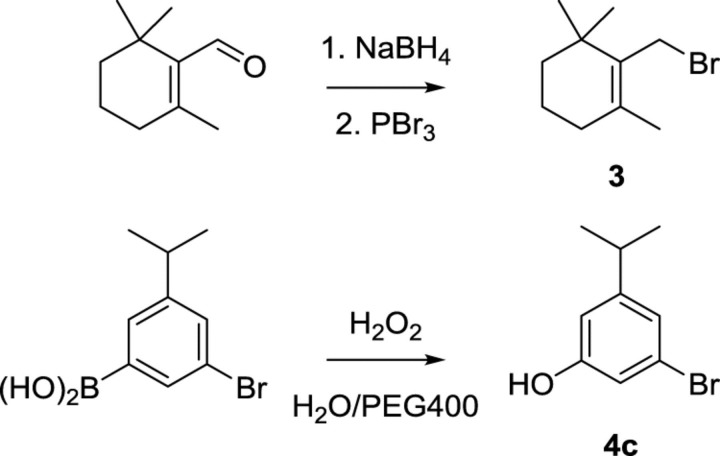 Scheme 3.