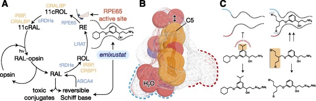 Fig. 1.