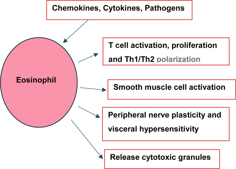 Figure 3: