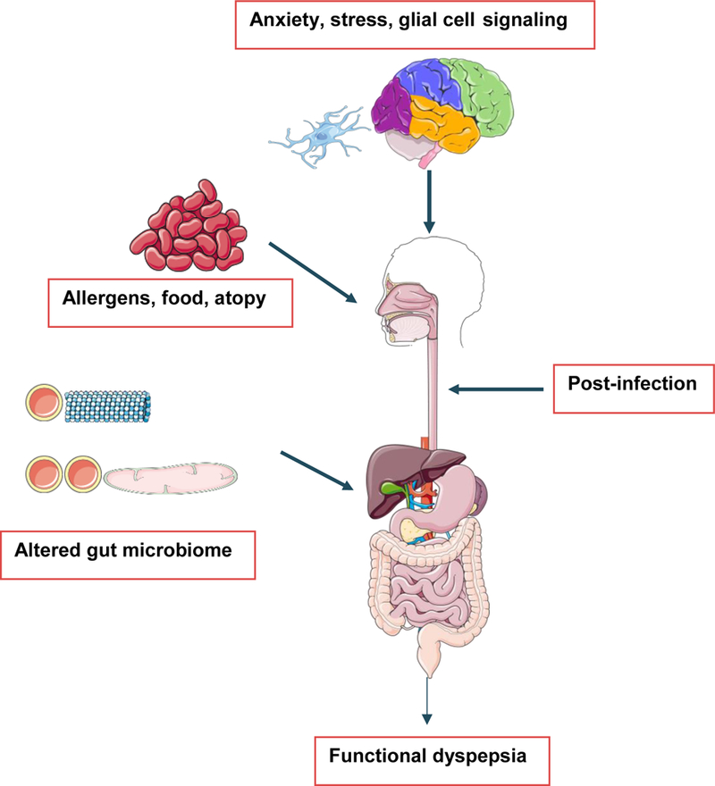 Figure 2: