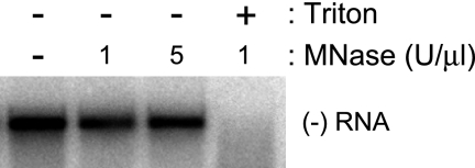 FIG. 5.