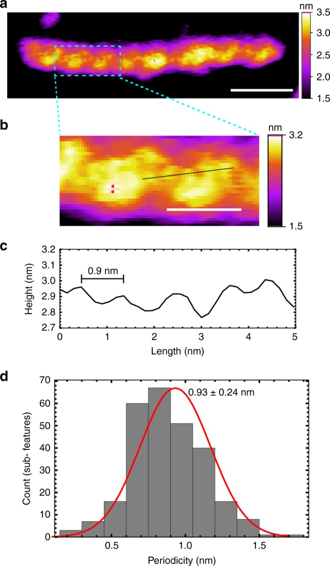 Fig. 6