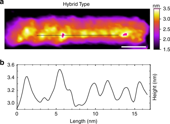 Fig. 3