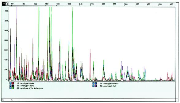 FIG. 1.