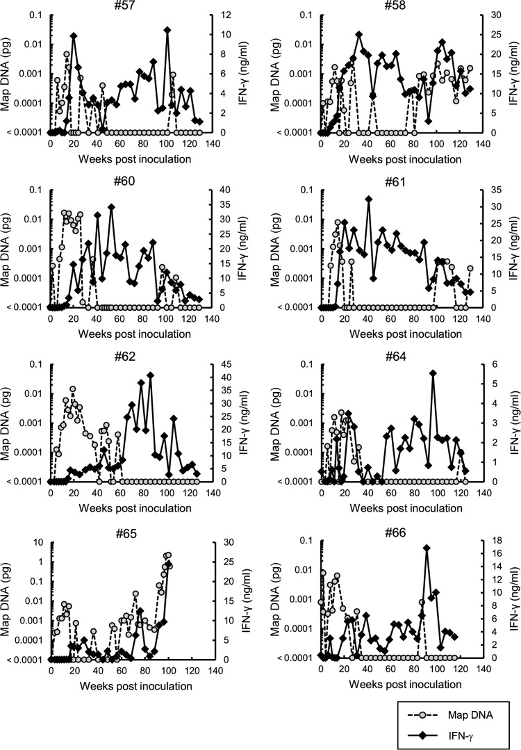 FIG 2