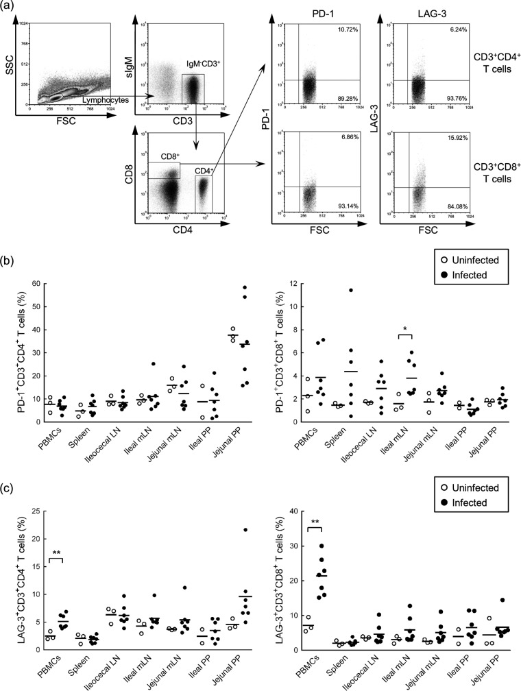 FIG 3