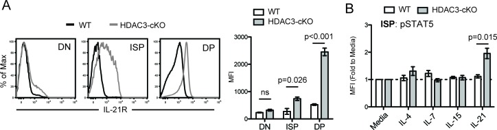 Figure 5—figure supplement 2.