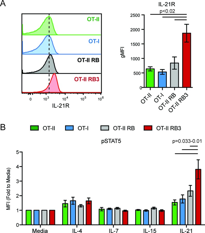 Figure 5—figure supplement 1.