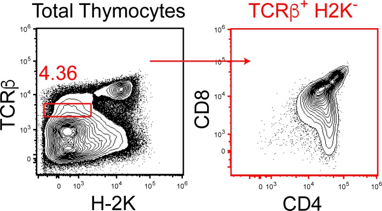 Figure 6—figure supplement 1.