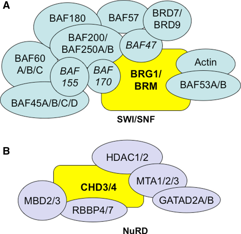 Fig. 3