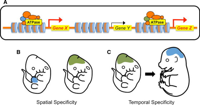 Fig. 4