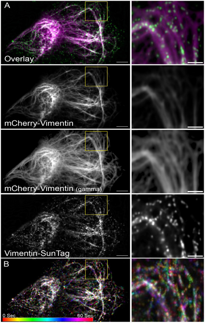 Figure 1: