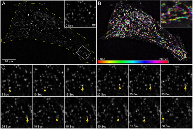 Figure 3: