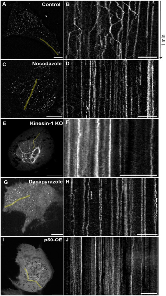 Figure 4: