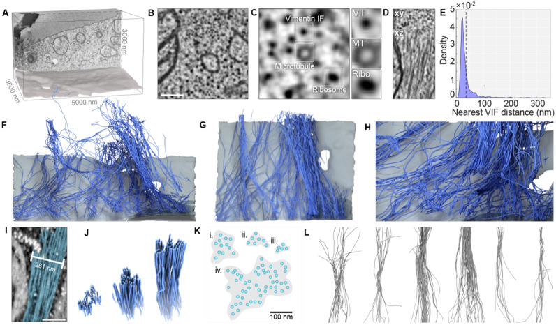 Figure 5: