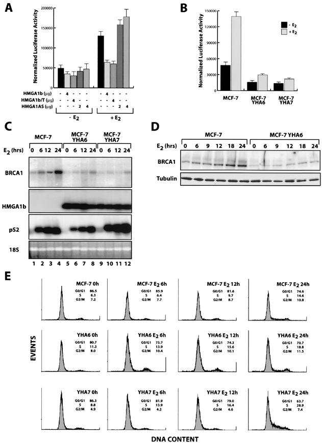 FIG.6.