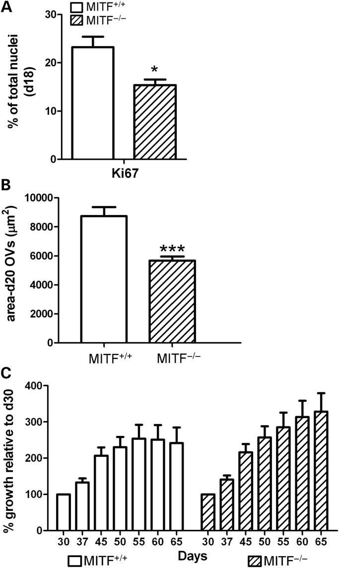 Figure 7.