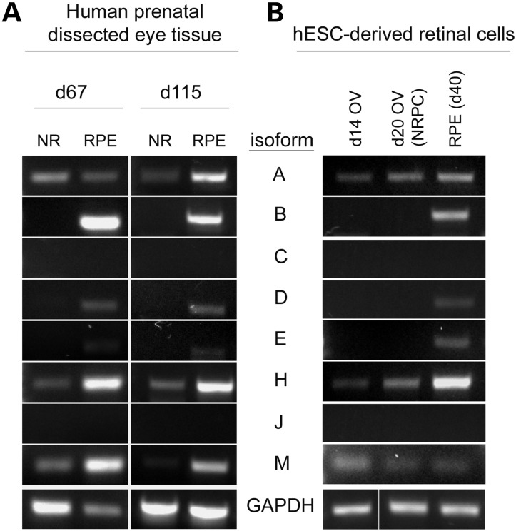 Figure 2.