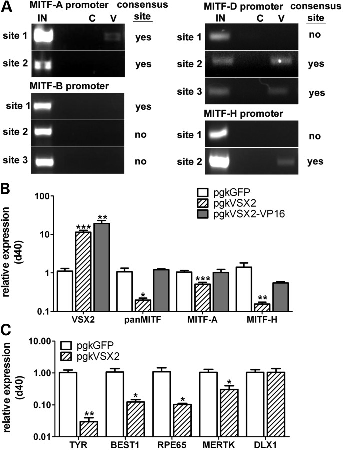 Figure 3.