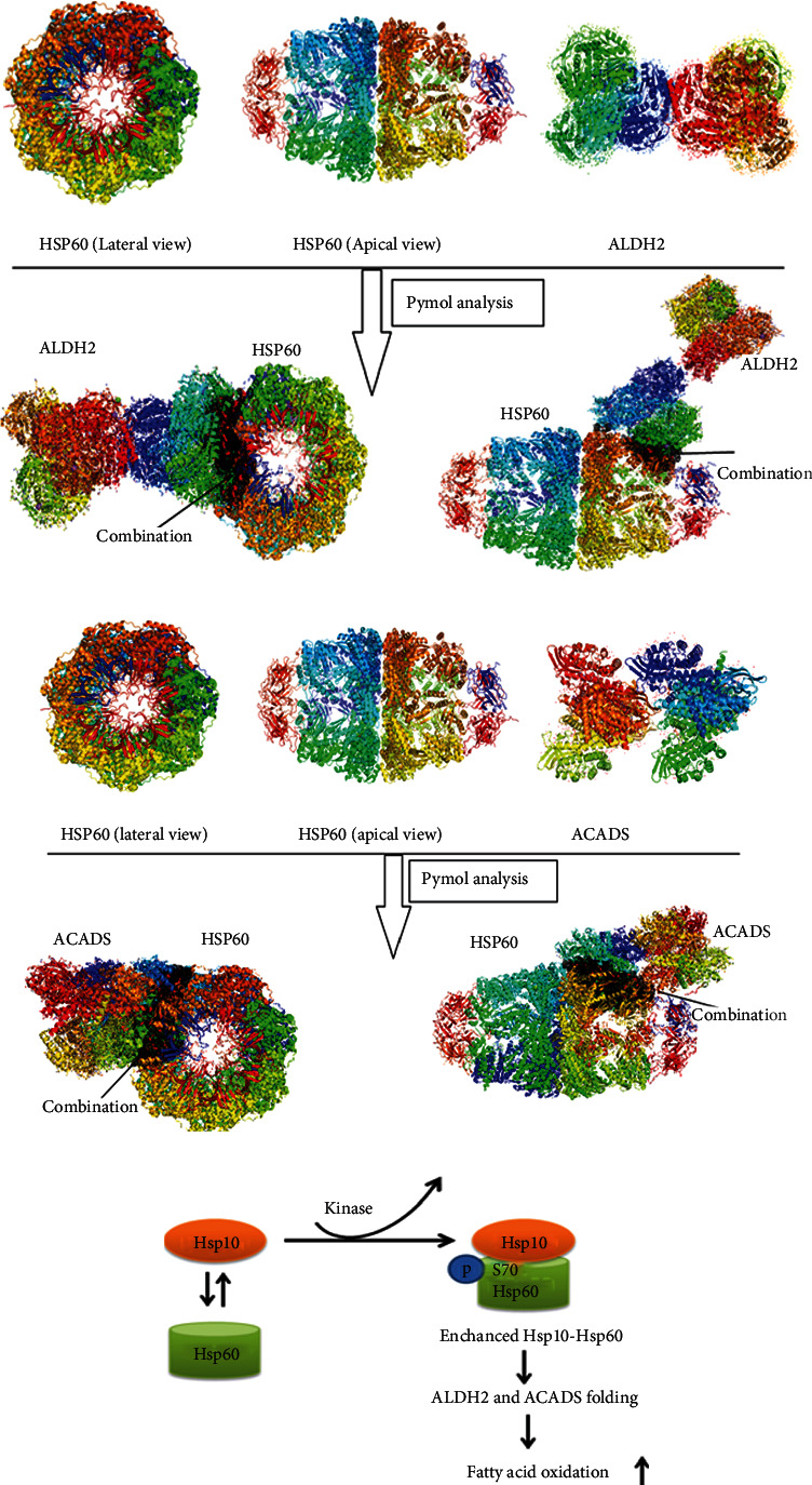 Figure 6