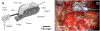 Fig. 1.