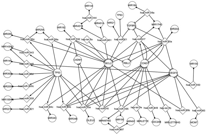 Figure 3.