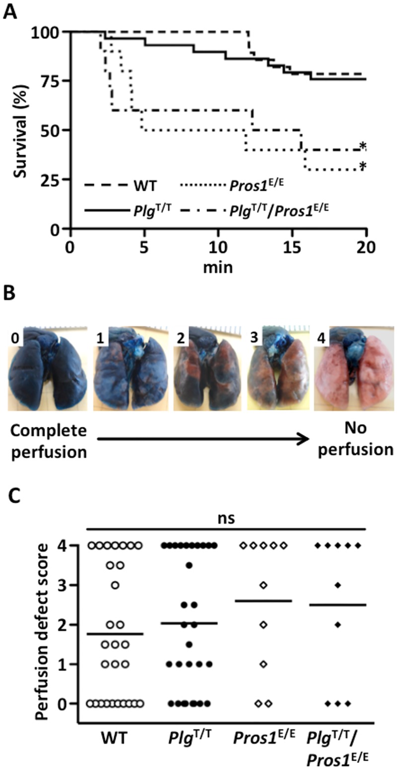 Fig 5