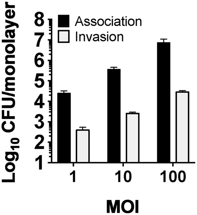 FIGURE 3