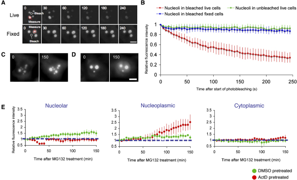 Figure 6