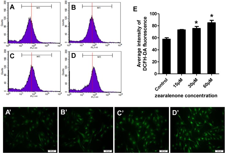 Fig 3