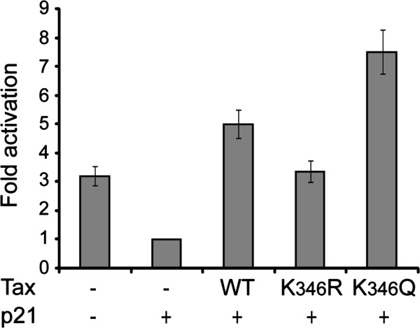 Figure 7