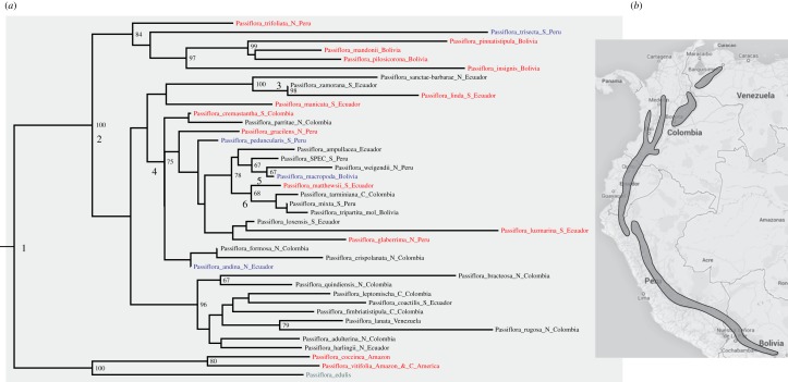 Figure 2.