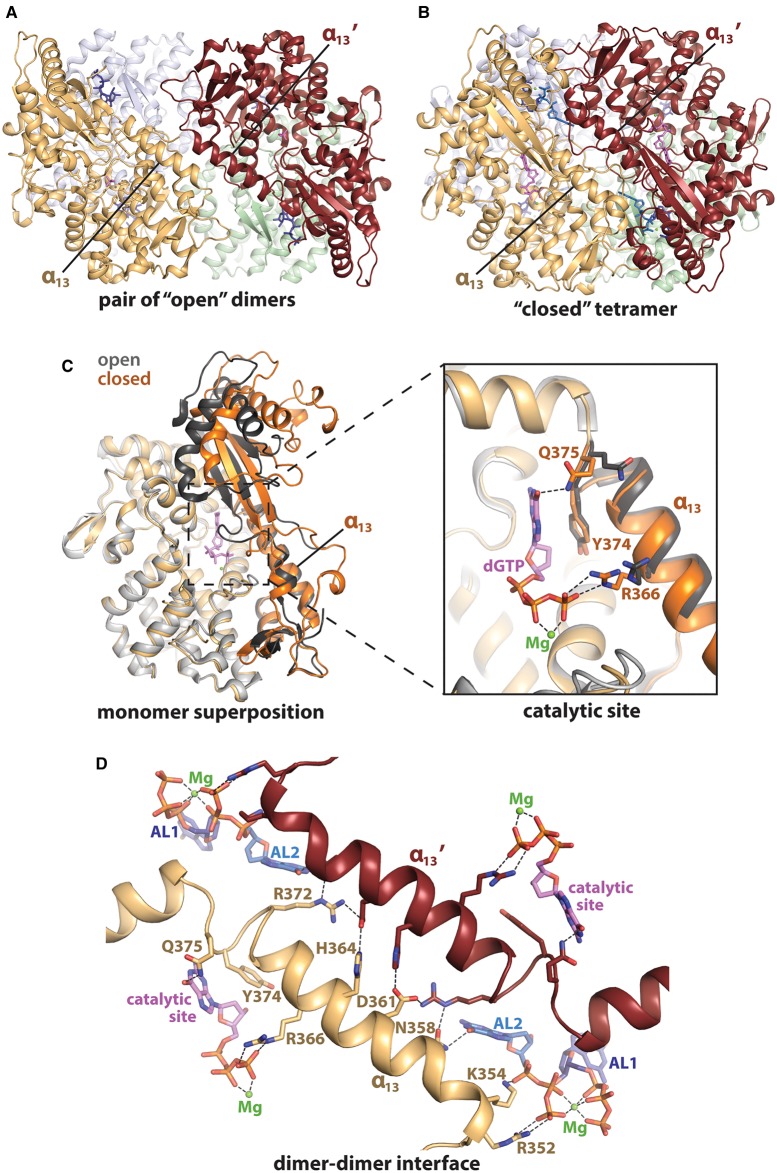 Figure 5.