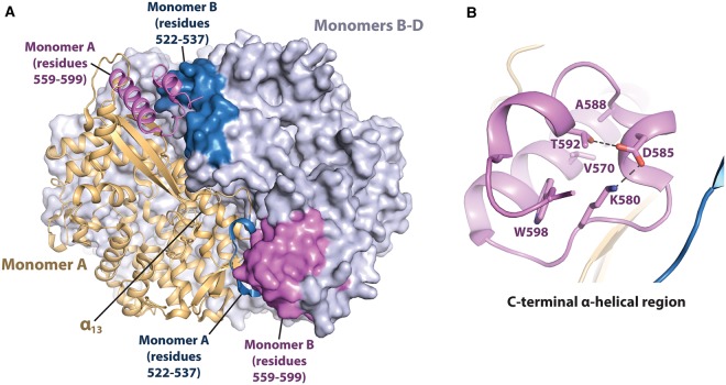 Figure 3.