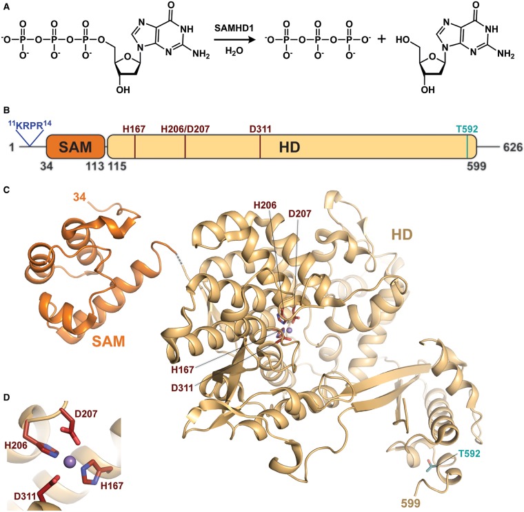 Figure 1.