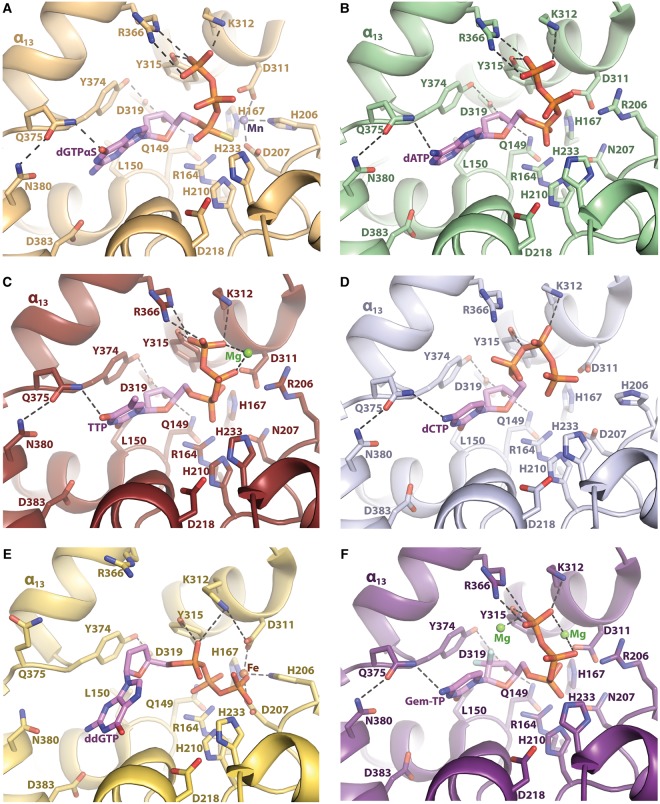 Figure 4.