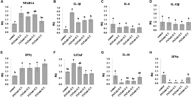 Figure 2