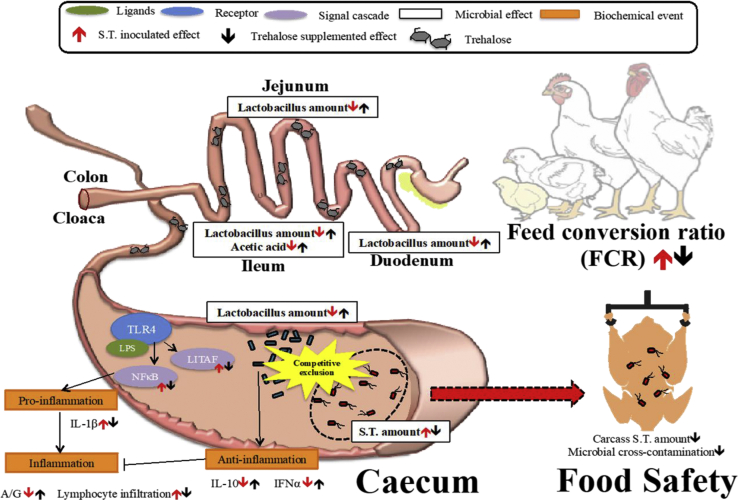 Figure 3