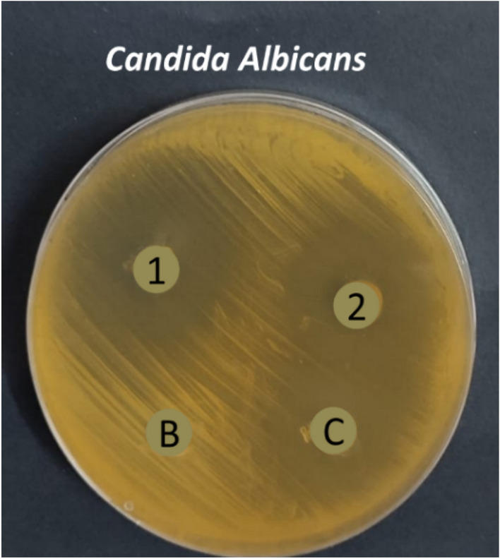 Figure 14