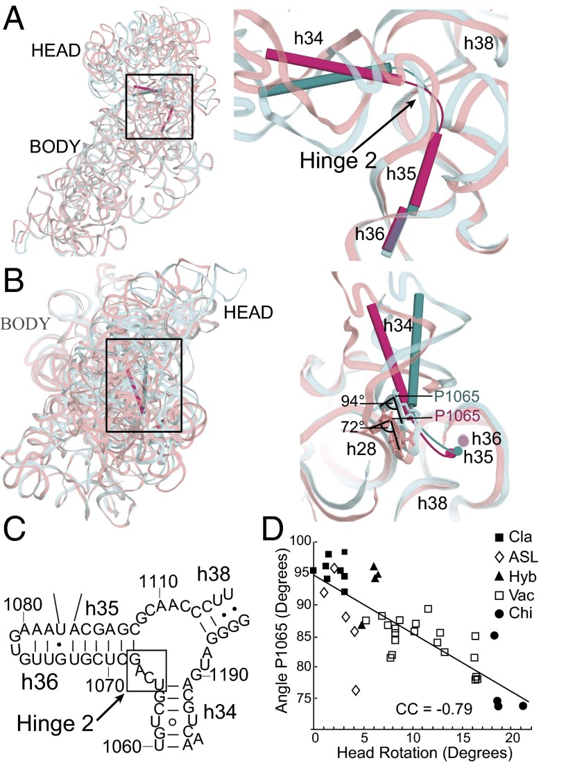 Fig. 4.