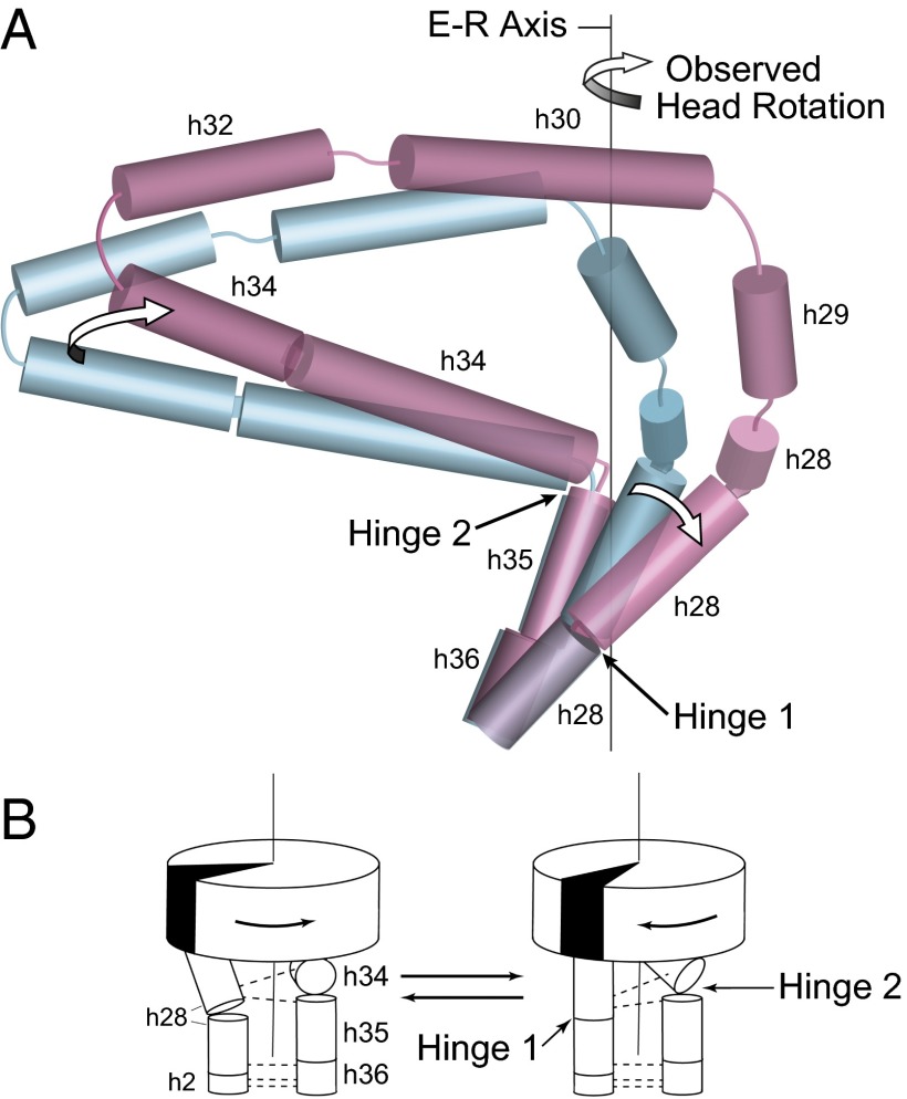 Fig. 6.