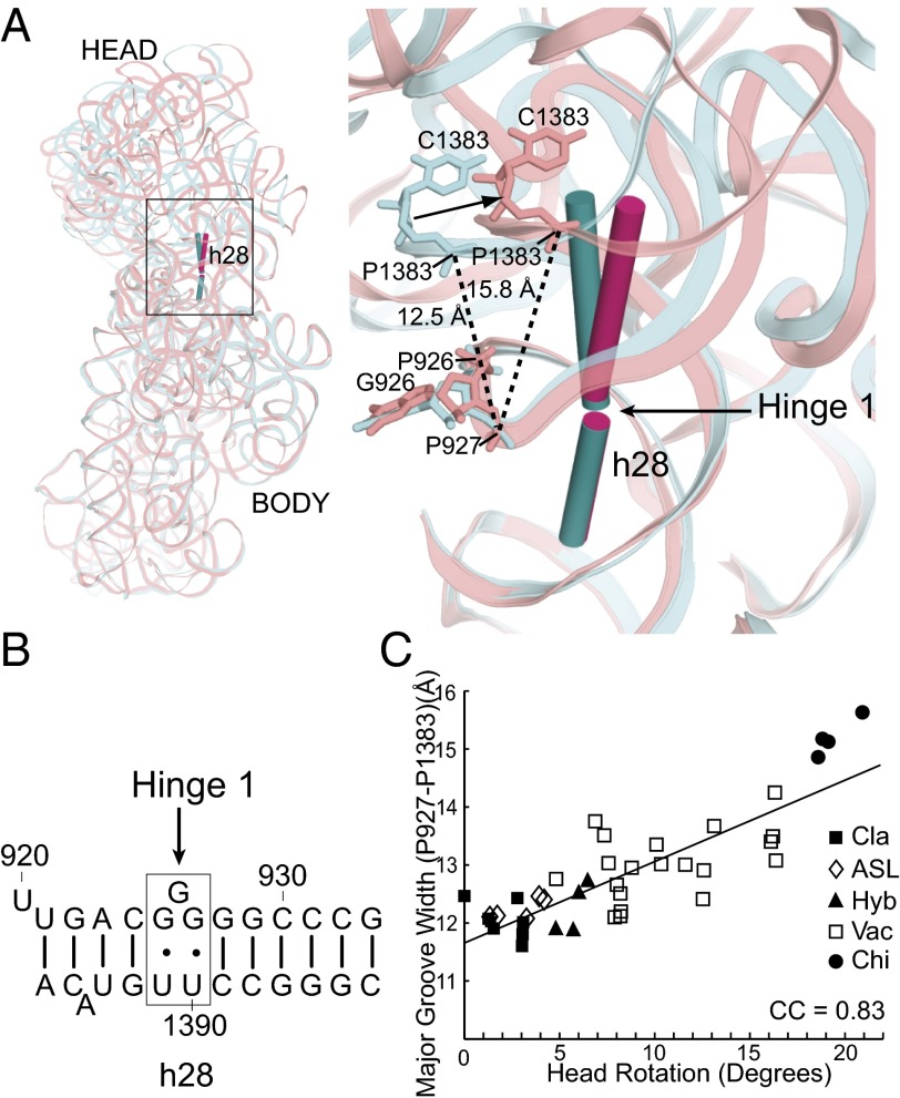 Fig. 3.