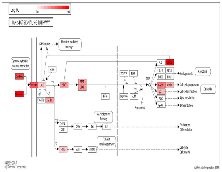 Fig. 7