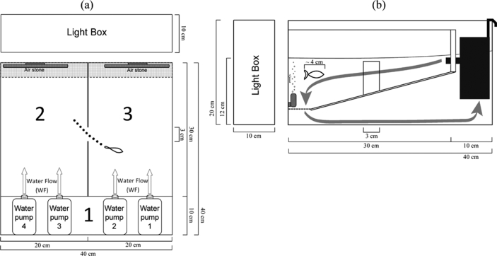 Fig. 1