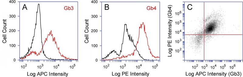 FIG 3