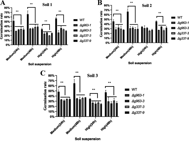 FIG 6